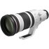 Canon RF 100-300mm f/2.8 L IS USM