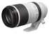 Canon RF 100-500mm f/4.5-7.1 L IS USM