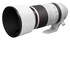 Canon RF 100-500mm f/4.5-7.1 L IS USM