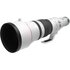 Canon RF 600mm f/4 L IS USM
