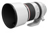 Canon RF 70-200mm f/2.8 L IS USM