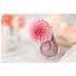 Canon RF 85mm f/1.4 L VCM
