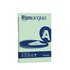 CARTOTECNICA FAVINI A69P544 Rismacqua carta inkjet A4 (210x297 mm) Verde
