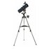 Celestron Astromaster 114EQ-MD Riflettore 100x Nero