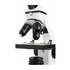 Celestron Microscopio LABS CM800