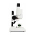 Celestron LABS S20 perfetto per elettronica, botanica, hobby