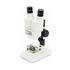 Celestron LABS S20 perfetto per elettronica, botanica, hobby