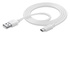 Cellular Line USB to USB-C DATA CABLE per ricarica e sincronizzazione dati Bianco