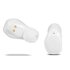 CELLY FLIP2 Auricolare True Wireless Bianco