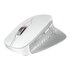 Cherry JW-8550-0 mouse Universale Mano destra RF Wireless Ottico 4000 DPI