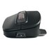 Cherry Stream ultimate mouse Universale Mano destra RF Wireless + Bluetooth + USB Type-C 4000 DPI