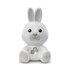 Chicco Luce notturna FIRST DREAMS Coniglietto Dolce Notte Grigio