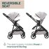 Chicco Passeggino 4 ruote SEETY Florence beige