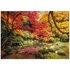 Clementoni Autumn Park Puzzle 1500 pz