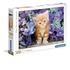 Clementoni Ginger cat Puzzle da pavimento 500 pezzi