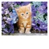 Clementoni Ginger cat Puzzle da pavimento 500 pezzi