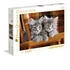 Clementoni Kittens Puzzle 500 pezzi