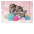 Clementoni Sweet Kittens Puzzle 104 pezzo(i)