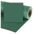 Colorama Fondale In cartoncino 2,72 x 11 Spucegreen