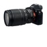 Commlite Adattatore per obiettivi Nikon G, F, A, I, S, D su fotocamere Sony E-Mount