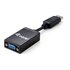 CONCEPTRONIC Equip 133435 Cavo e Adattatore video 0,15 m DisplayPort VGA Nero