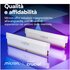 Crucial Pro OC memoria 64 GB 2 x 32 GB DDR5 6400 MHz