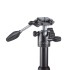 Cullmann Concept One 625M con Testa OH2.5V