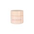 Diego Dalla Palma Renew My Lips Maschera labbra riparatrice 102 Rosa pallido 25ml