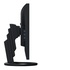 EIZO FlexScan EV2495-BK 24.1