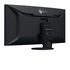 EIZO FlexScan EV3895-BK LED 37.5