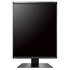 EIZO RadiForce GX560 Monitor PC 54,1 cm (21.3