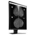 EIZO RadiForce GX560 Monitor PC 54,1 cm (21.3