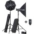 Elinchrom D-Lite RX 4/4 Softbox To Go Kit