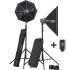 Elinchrom D-Lite RX One/One Softbox To Go