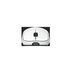 EndGame Gear OP1we mouse Mano destra USB tipo A Ottico 19000 DPI