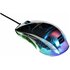 EndGame Gear XM1 RGB mouse Giocare Mano destra USB tipo A Ottico 16000 DPI