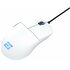 EndGame Gear XM1 RGB mouse Giocare Mano destra USB tipo A Ottico 16000 DPI