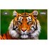Epson EH-LS11000W