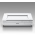 Epson ESPON SCANNER WF DS-50000 A3 600DPI USB