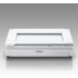 Epson ESPON SCANNER WF DS-50000 A3 600DPI USB