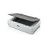 Epson Expression 12000XL