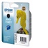 Epson Ink Cartridge Black T0481