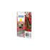 Epson SINGLEPACK YELLOW 503XL INK