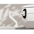 equip 650181 supporto da tavolo per Tv a schermo piatto 124,5 cm (49