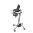 ERGOTRON Neo-Flex Laptop Cart scrivania per computer Grigio