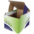 Fellowes 8049301 Bidone per la spazzatura Rettangolare Cartoncino Blu, Verde, Bianco
