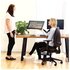 Fellowes Eppa 39