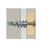 Fischer 024556 Giravite e bullone 3,1 cm 100 pz Vite