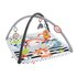 Fisher Price HBP41 Palestrina a tappeto per bambino Multicolore