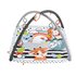 Fisher Price HBP41 Palestrina a tappeto per bambino Multicolore